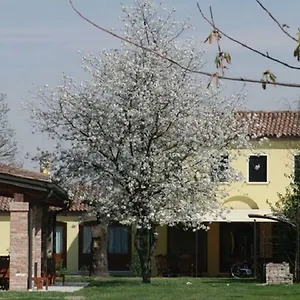 Particolari Del Brenta Appartement Oriago Di Mira